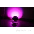100W White/Warm White LED LIGHT STUE STAGE